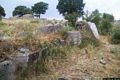 Fonni-Necropoli di Madau: la tomba I