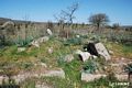 Fonni-Necropoli di Madau: la tomba V