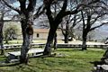 Fonni: chiesa campestre di Nostra Signora de Su Monte: la chiesa nel parco
