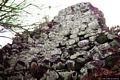 Fordongianus-resti del nuraghe a corridoio di su Casteddu Ecciu