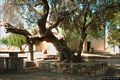 Furtei: chiesa romanica di San Biagio Vescovo