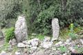Genoni-Sito di Bruncu Suergiu: resti dell’insediamento nuragico