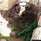 Gesturi: il proto nuraghe Bruncu Madugui: cella b
