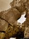 Gesturi: il proto nuraghe Bruncu Madugui: eccezionale prova di equilibrio e di statica