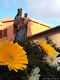 Ghilarza-Festa di Santa Maria di Tempu: statua di Santa Maria Ausiliatrice