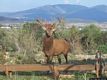 Giba: il parco degli Angeli