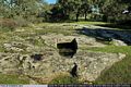 Goni-Il parco archeologico di Pranu Mutteddu
