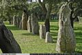 Goni-Il parco archeologico di Pranu Mutteddu Goni-Il parco archeologico di Pranu Mutteddu