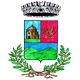 Gonnoscodina-Stemma del comune