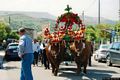 Gonnoscodina-Festa di San Daniele: la processione