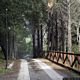 Gonnosfanadiga: visita del parco Comunale di Perd ’e Pibera