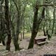 Gonnosfanadiga: visita del parco Comunale di Perd ’e Pibera