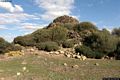 Guspini-resti del nuraghe complesso Melas chiamato anche nuraghe Fumiu