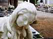 Iglesias: Cimitero monumentale di Iglesias