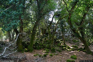Illorai-resti del nuraghe Frida