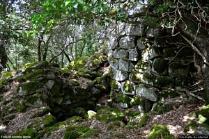 Illorai-resti del nuraghe Frida