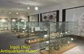 Irgoli-Museo Archeologico: sala 1
