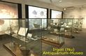 Irgoli-Museo Archeologico: sala 2