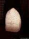 Laconi-Museo delle Statue menhir
