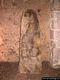 Laconi-Museo delle Statue menhir
