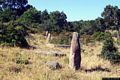 Laconi-Veduta dei menhir di Corte Noa