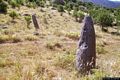 Laconi-Veduta dei menhir di Perda Iddocca