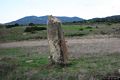 Asuni: il secondo menhir di Is Cirquittus