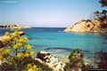 La Maddalena: Cala dello Spalmatore in primavera