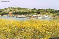 La Maddalena: Cala dello Spalmatore in primavera