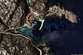 La Maddalena-La spiaggia di Porto Massimo