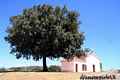 Loiri Porto San Paolo: azzanì: chiesa di San Michele Arcangelo