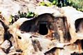 Lotzorai-Resti della domus de janas di Su Tancau