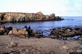 La costa occidentale dell’isola di Mal di Ventre: la Cala Maestra