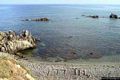 La costa occidentale dell’isola di Mal di Ventre: spiaggetta e mare a Cala Maestra