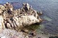 La costa occidentale dell’isola di Mal di Ventre: scogli a Cala Maestra