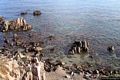 La costa occidentale dell’isola di Mal di Ventre: scogli a Cala Maestra