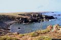La costa occidentale dell’isola di Mal di Ventre: la Cala di Ponente