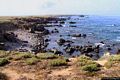 La costa occidentale dell’isola di Mal di Ventre: la Cala di Ponente