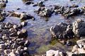La costa occidentale dell’isola di Mal di Ventre-Rocce e mare limpidissimo a Cala di Ponente