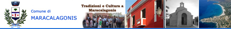 Visita del sito istituzionale del comune
