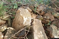 Maracalagonis-resti del sito archeologico di Sirigraxiu Maracalagonis-resti del sito archeologico di Sirigraxiu