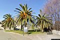 Masullas: ingresso del Giardino botanico delle essenze del Monte Arci
