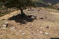 Meana Sardo-reggia nuragica di Nolza: resti del villaggio nuragico Meana Sardo-reggia nuragica di Nolza: resti del villaggio nuragico
