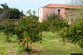 Milis-Villa Pernis: il giardino interno Milis-Villa Pernis: il giardino interno