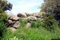 Milis-resti del Protonuraghe Tronza