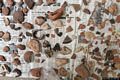 Milis-resti del nuraghe complesso Cobulas: rinvenimenti negli scavi Milis-resti del nuraghe complesso Cobulas: rinvenimenti negli scavi