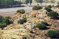 Monastir-Necropoli del Monte Olladiri o di Is Aruttas: la rocce con le tombe 1 e 2