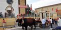 Monastir-Festa di Santa Lucia