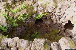 Mores-resti del nuraghe Sa Cuguttada Mores-resti del nuraghe Sa Cuguttada