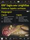 Morgongiori-Sagra delle lorighittas e Mostra del tappeto e dellarazzo: locandina